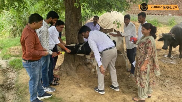 बुडानिया में पशुपालन जन चेतना शिविर का आयोजन