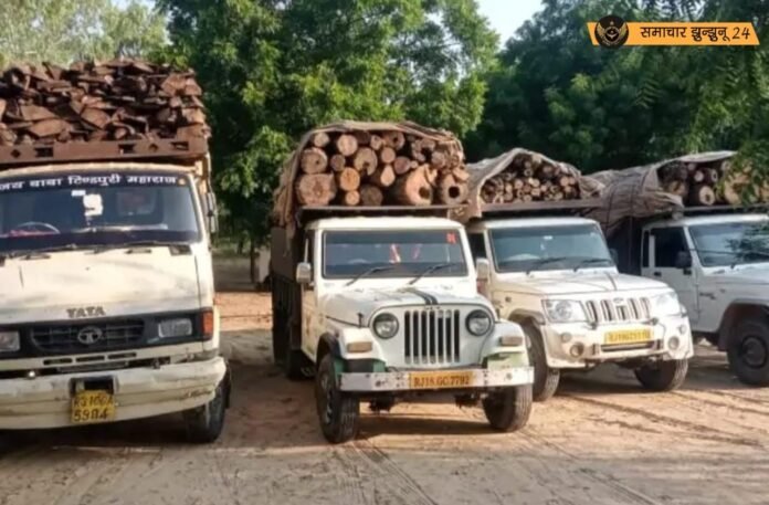चिड़ावा में वन विभाग की बड़ी कार्रवाई: 120 क्विंटल हरी लकड़ियों से भरी 3 पिकअप और 1 ट्रक जब्त, 4 आरोपी गिरफ्तार