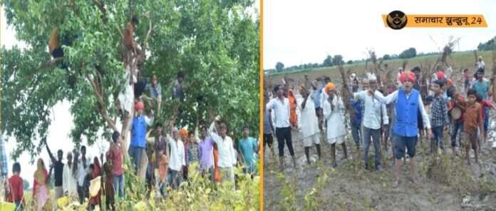 मध्य प्रदेश में मानसून की मार: घंटी और शंख के साथ किसानों का विरोध प्रदर्शन, पीएम और सीएम तक संदेश भेजा