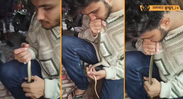 सोशल मीडिया पर वायरल हुआ सांप को सीपीआर देने का वीडियो