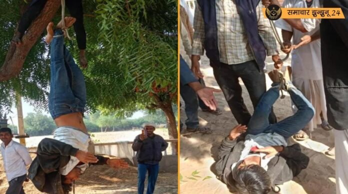 राजस्थान के बाड़मेर में दलित युवक को पेड़ से उल्टा लटकाकर बेरहमी से पीटा: आरोपी गिरफ्तार, जांच जारी