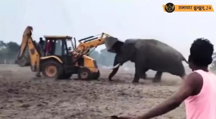 हाथी का गुस्सा: वायरल वीडियो में JCB को दी जोरदार टक्कर
