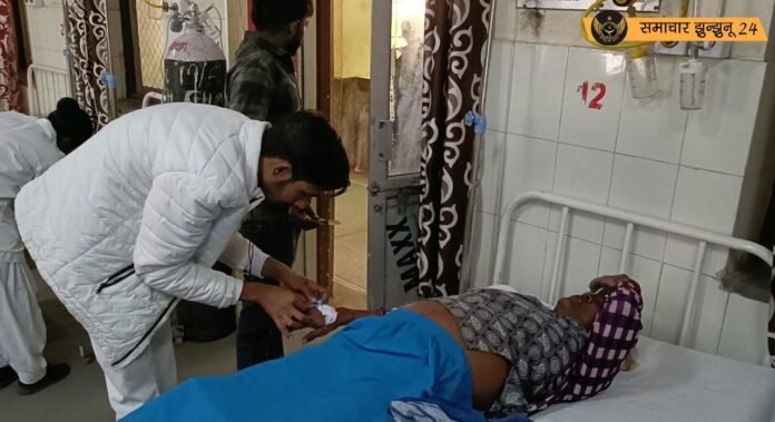 मधुमक्खियों के हमले में महिला घायल, एंबुलेंस से उपजिला अस्पताल लाया गया, डॉक्टर्स ने किया इलाज