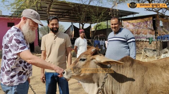 इंग्लैंड से आए माइकल को खूब भा रहा है राजस्थान का कल्चर, सुबह शाम गौ नंदीशाल में भी देते हैं सेवा