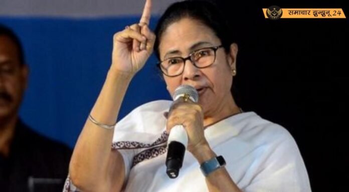 गिद्ध और सुअर वाले बयान पर ममता बनर्जी का जवाब, बोलीं - 'गालियों से असर नहीं पड़ता'
