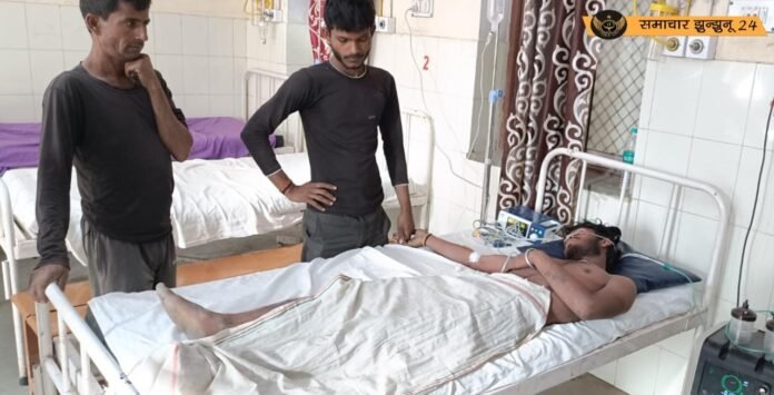 बिगोदना गांव में लावणी कर रहे मजदूरों पर घोड़ा मक्खियों का हमला, पांच लोग घायल