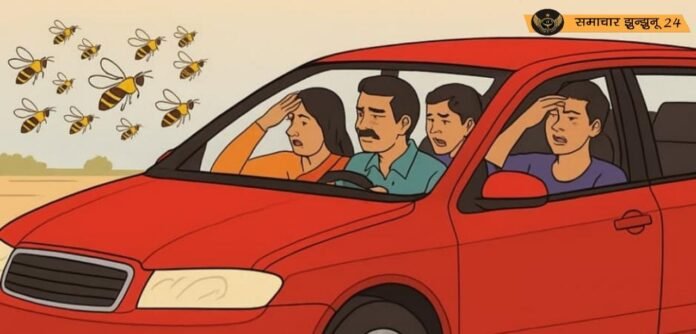 मधुमक्खियों के झुंड का कहर: चिड़ावा में कार सवार परिवार पर हमला, चार घायल