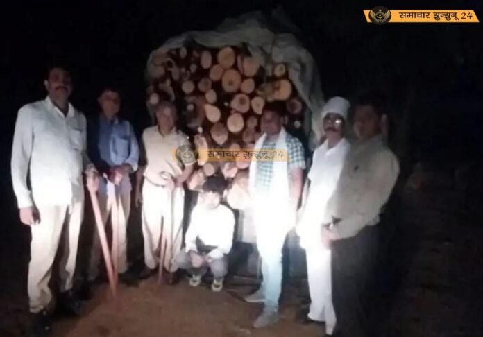 नवलगढ़ के परसरामपुरा में अवैध लकड़ी तस्करी पर वन विभाग की बड़ी कार्रवाई, प्रतिबंधित लकड़ियों से भरी पिकअप जब्त