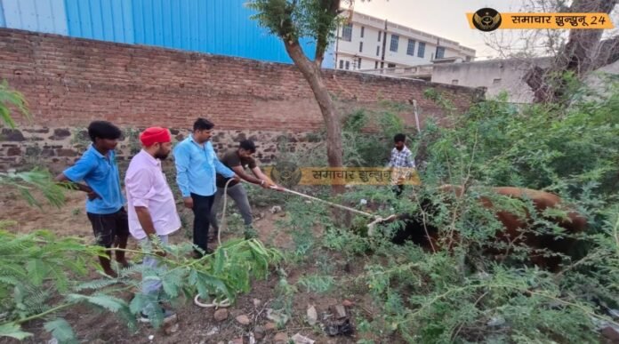 चिड़ावा में बेकाबू नंदी ने महिला को किया घायल, इलाके में फैली दहशत, गौ रक्षा दल की सतर्कता से हालात पर पाया गया नियंत्रण