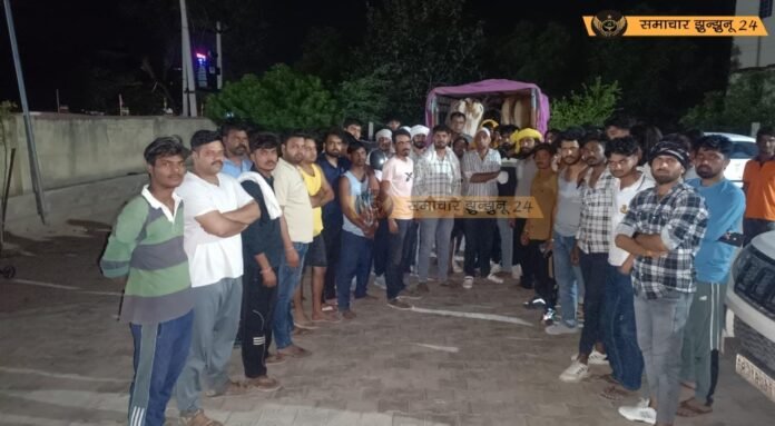 पचेरी कलां क्षेत्र में सक्रिय गौरक्षकों ने पकड़ी गौवंश से भरी पिकअप, कटने के लिए ले जाए जा रहे थे गोवंश
